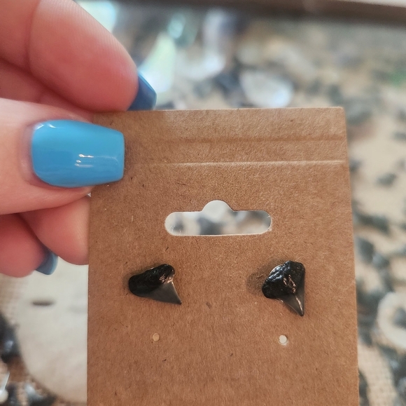 Black Shark Tooth Stud Earrings - Picture 3 of 3